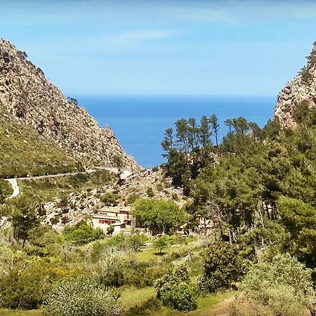 Finca Ses Fontanelles Andraitx Ngoại thất bức ảnh