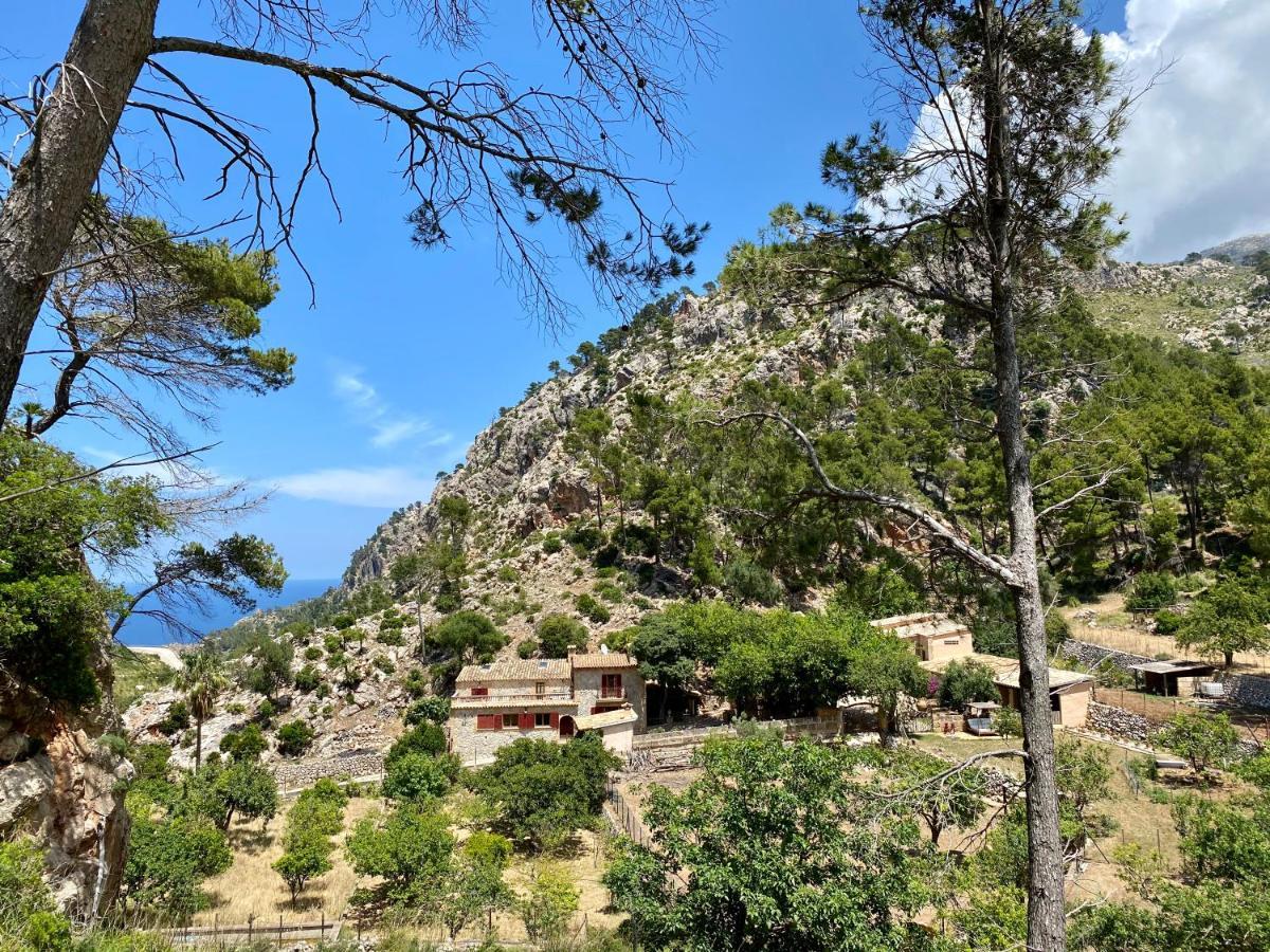 Finca Ses Fontanelles Andraitx Ngoại thất bức ảnh