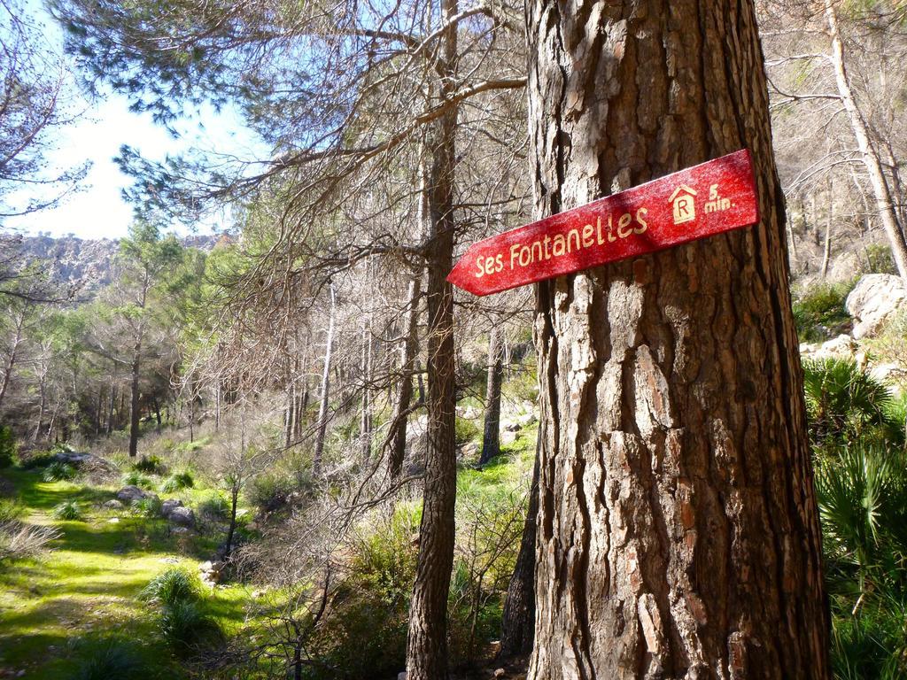 Finca Ses Fontanelles Andraitx Ngoại thất bức ảnh